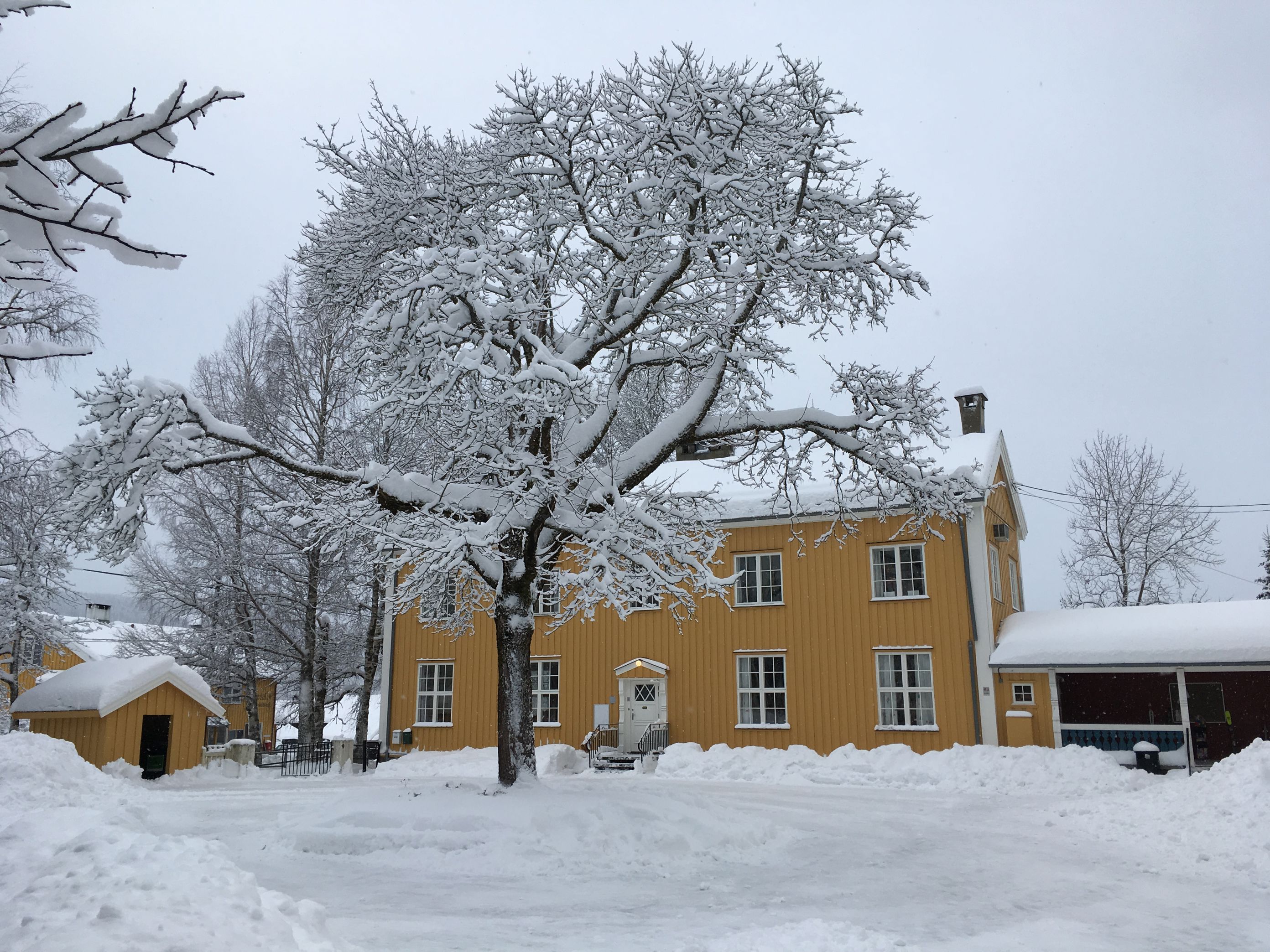 Foto: Vinter i Sørkedalen Vinterbilde sørkedalen