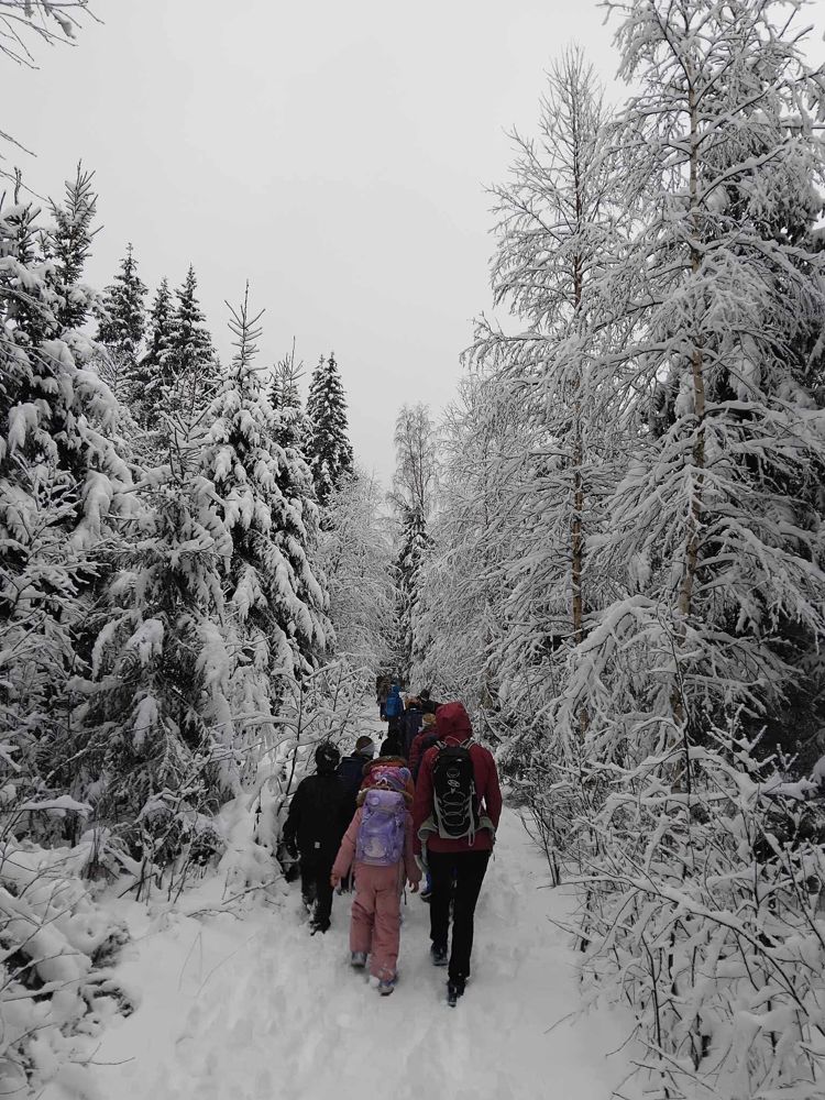 en gruppe mennesker som går gjennom en snødekt skog